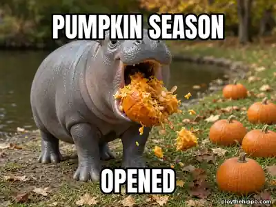 Ploy meme: Pumpkin season / Opened (cartoon of Ploy, a slate-grey hippo)